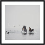 Humpback Whales No. 2 by Laura Evans Framed Wall Art Print