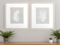 Set Of Two Palm Oasis White Framed Print Wall Art