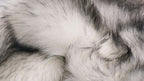 HomeRoots 5' X 6' Grey Ombre Faux Sheepskin Non Skid Area Rug