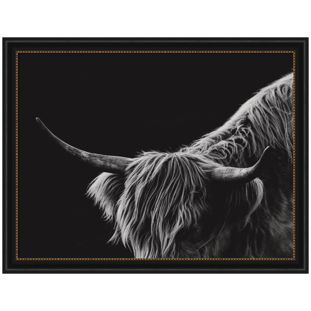 Scottish Highland No. 6 by Crystal Lynn Collins Framed Wall Art Print
