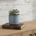 Gray Ceramic 44 Ounce Crackle Mosaic Round Distressed Pot Planter