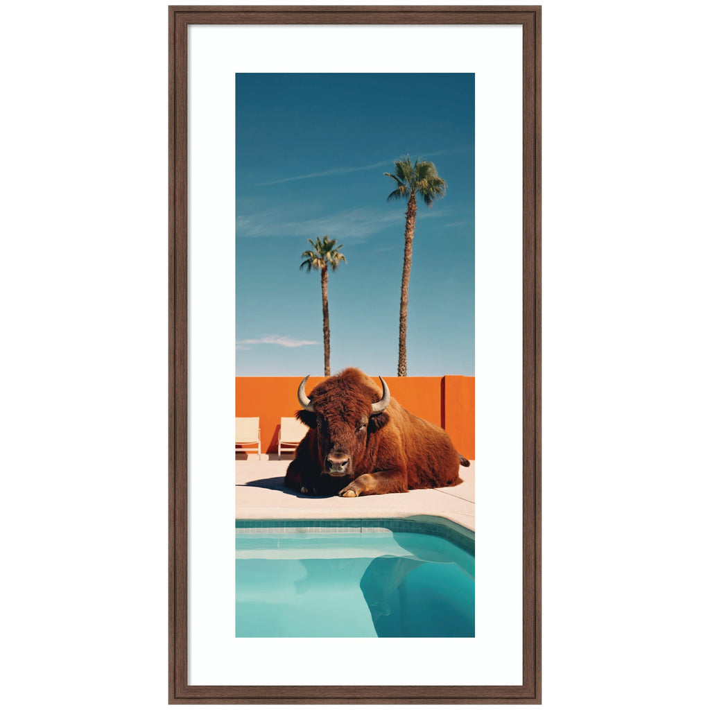 Framed Art Bison Chilling by the Pool in California by Michael Schauer