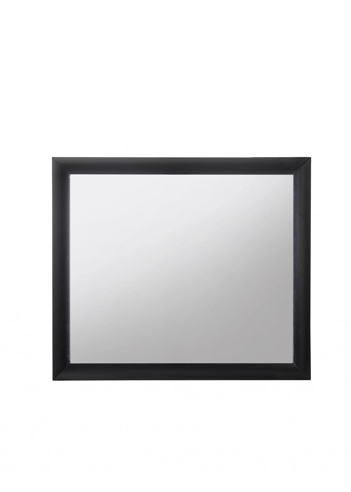 HomeRoots Contemporary Wood Frame Mirror in Black