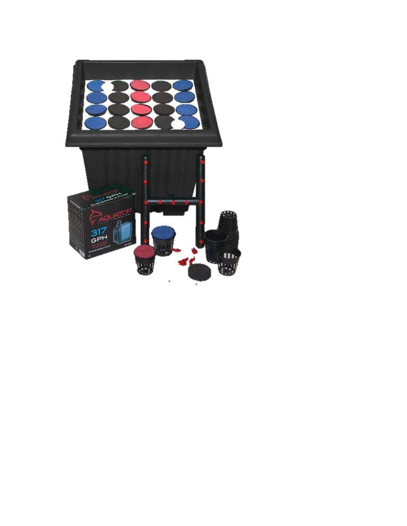 Clone King 25 Site Aeroponic Cloning Machine Expect 100% Success Rates