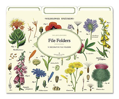 Wildflowers File Folders