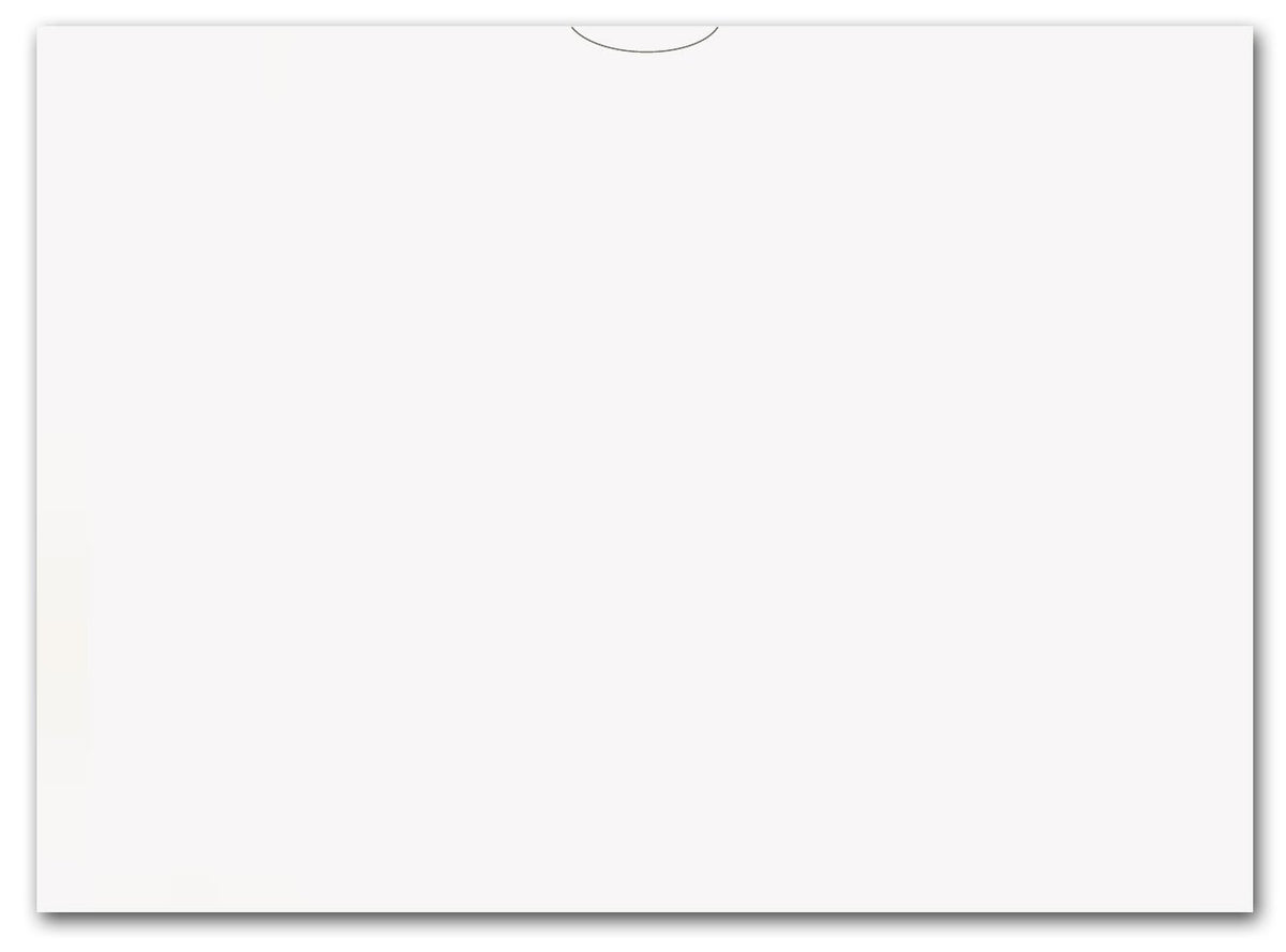 Plain Blank Vehicle Deal Envelopes 9X12 Deal Jackets (100 Shrink Wrapped) (White)