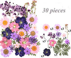 106 Pieces Assorted Real Dried Pressed Flowers Combination Real Dried Pressed Leaves Natural Dry Flowers Leaves For Resin Mold,