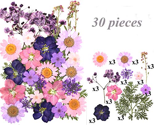 106 Pieces Assorted Real Dried Pressed Flowers Combination Real Dried Pressed Leaves Natural Dry Flowers Leaves For Resin Mold,