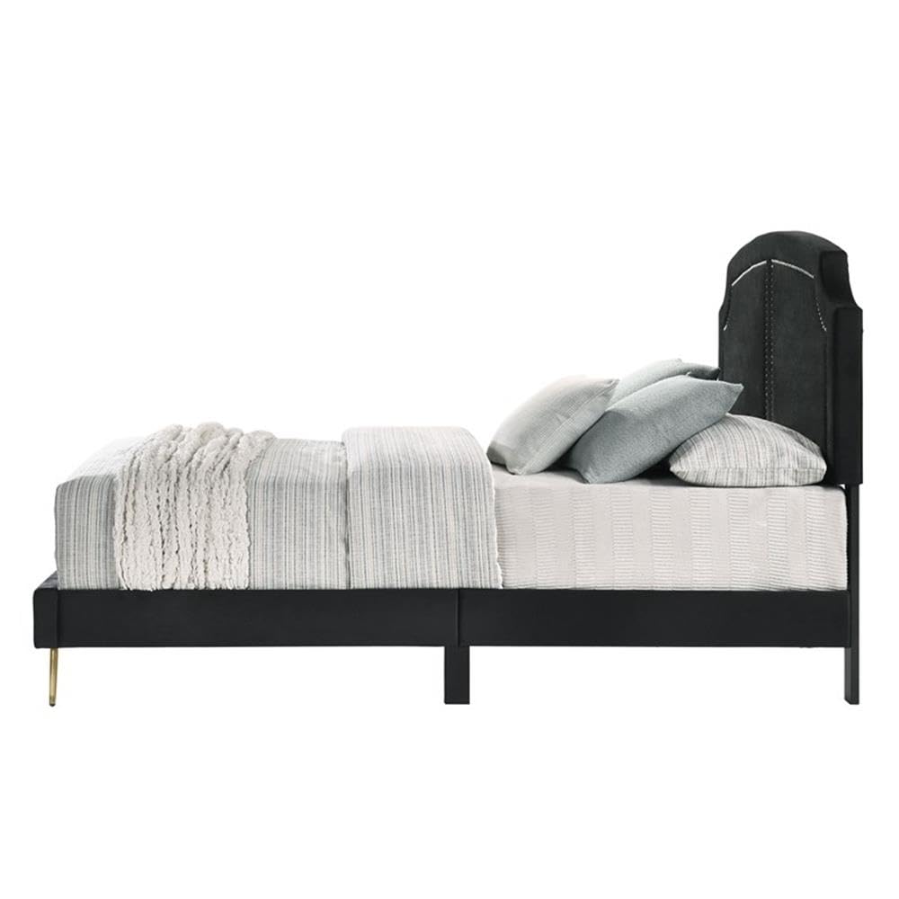 Acme Zeena Eastern King Bed in Black Velvet