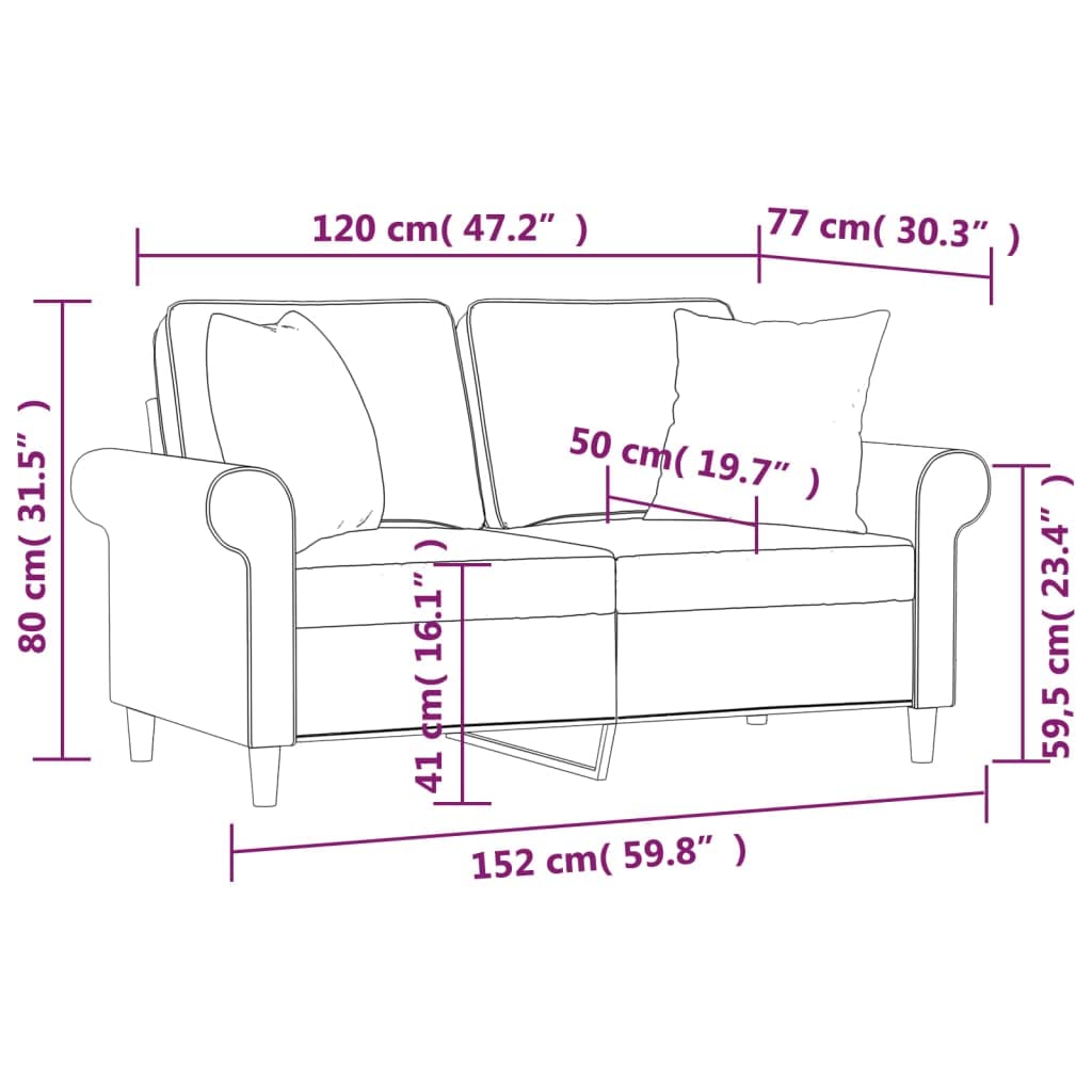 vidaXL Light Gray Fabric Upholstered Love Seat with Throw Pillows - Modern 2-Seater Sofa Chair with Plywood & Metal Frame for Living Room, Lounge Area - 59.8&quot; x 30.3&quot; x 31.5&quot;