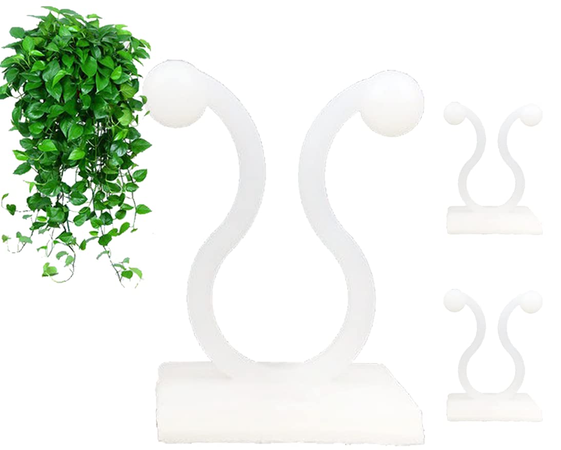 Mdsoyol Plant Climbing Wall Fixture Clips, (100Pcs) Plant Fixer Self-Adhesive Hooks For Invisible Wall Vines Plant Fixation Plan