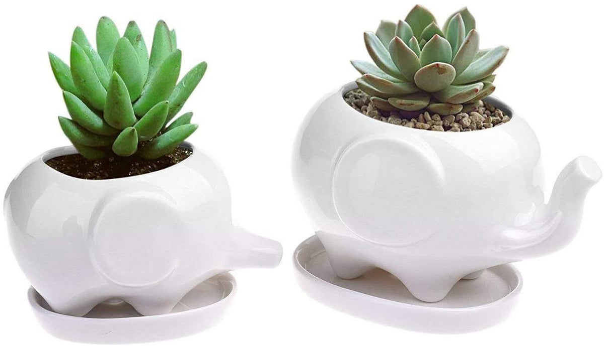 Maerskye One Set Cute Elephant Flower Pot With Tray,Modern White Ceramic Succulent Planter Pots / Tiny Flower Plant Containers