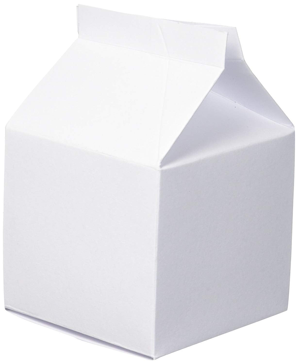 Darice White Party Favor Milk Cartons, 24 Piece