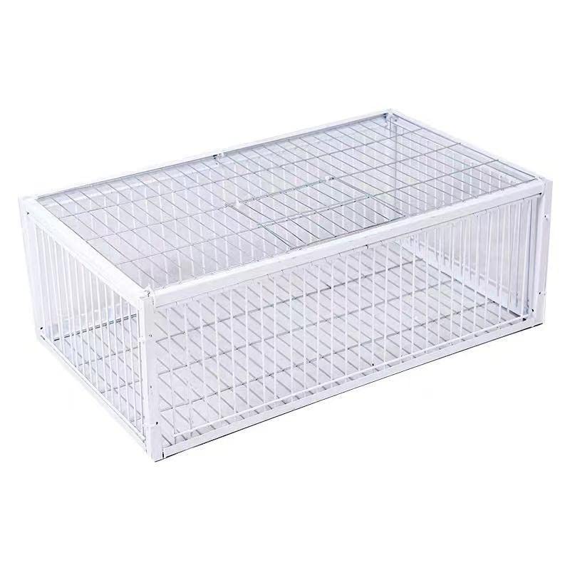 Big Foldable Galvanised Pigeon Dove Bird Trap Cage Feral Pigeon Humane Way With The One-Way Entrance Trapping Pigeons Doves In C