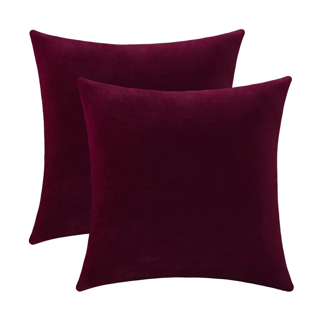 Jeneoo Set of 2 Comfy Soft Thick Velvet Throw Pillow Covers for Sofa Couch Decorative Solid Square Cushion Cases for Bedroom Car