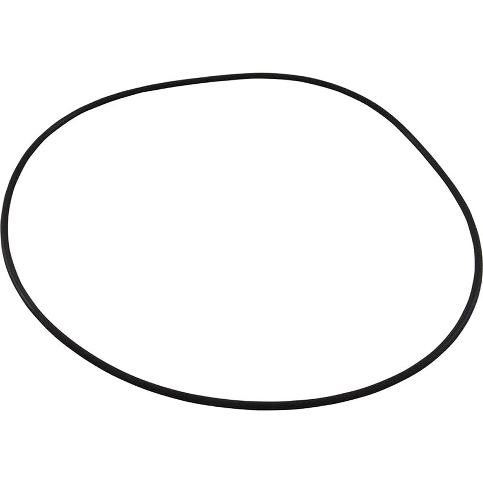 Waterway O-Ring Booster Pump Waterway 805-0268