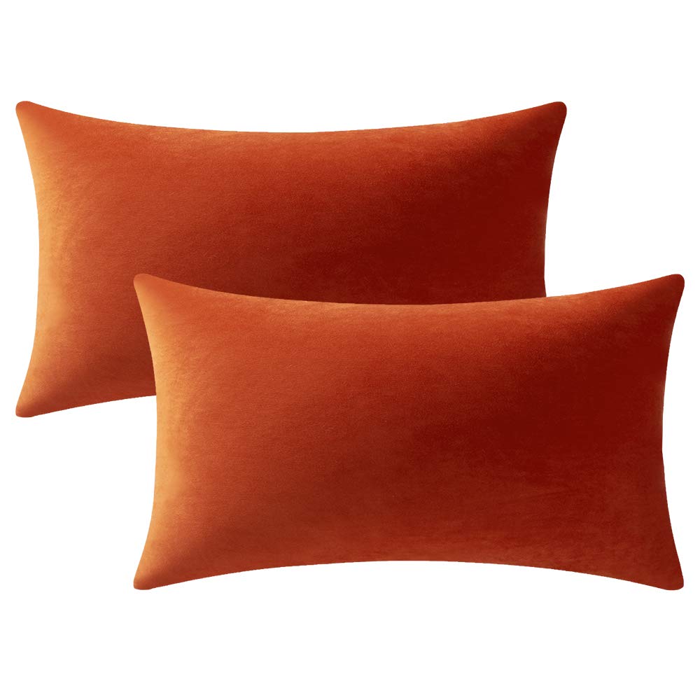 Dezene Fall Couch Pillow Cases 12X20 Burnt Orange: 2 Pack Cozy Soft Velvet Rectangular Throw Pillow Covers For Farmhouse Home De