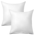 Raajsee 20X20 Throw Pillow Inserts Set Of 2 - Luxurious Comfort For Your Couch And Sofa | Fluffy, Soft & Durable | Perfect For D