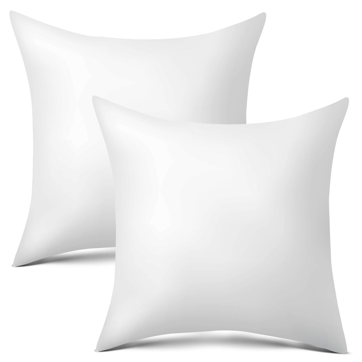 Raajsee 20X20 Throw Pillow Inserts Set Of 2 - Luxurious Comfort For Your Couch And Sofa | Fluffy, Soft & Durable | Perfect For D