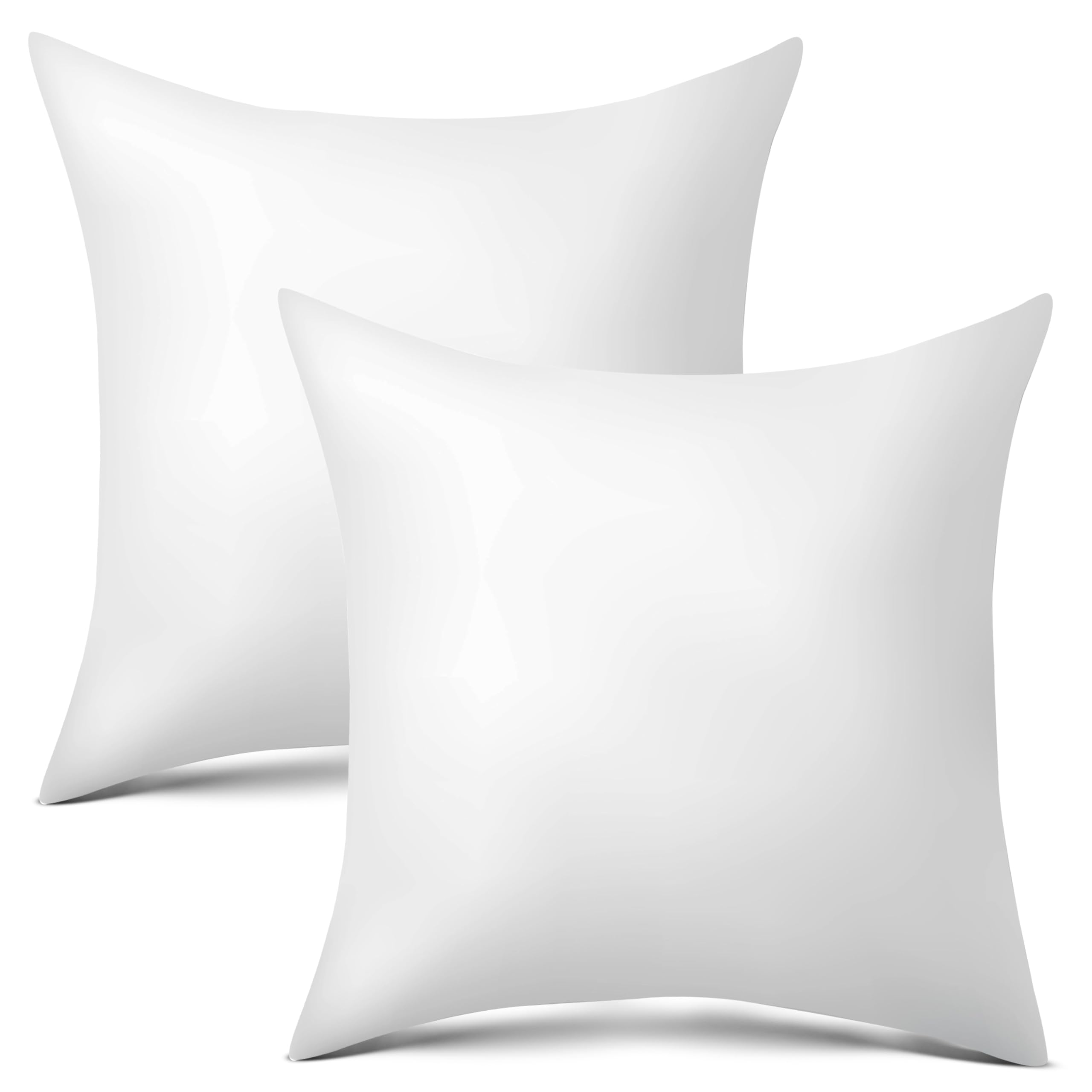 Raajsee 20X20 Throw Pillow Inserts Set Of 2 - Luxurious Comfort For Your Couch And Sofa | Fluffy, Soft & Durable | Perfect For D