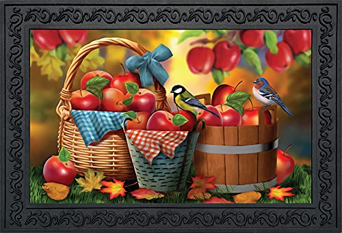 Briarwood Lane Harvest Apple Basket Fall Doormat Bluebirds Picnic Indoor Outdoor 30' X 18'