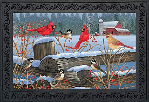 Briarwood Lane Birds Of Winter Cardinals Doormat Snowy Indoor/Outdoor 30' X 18'