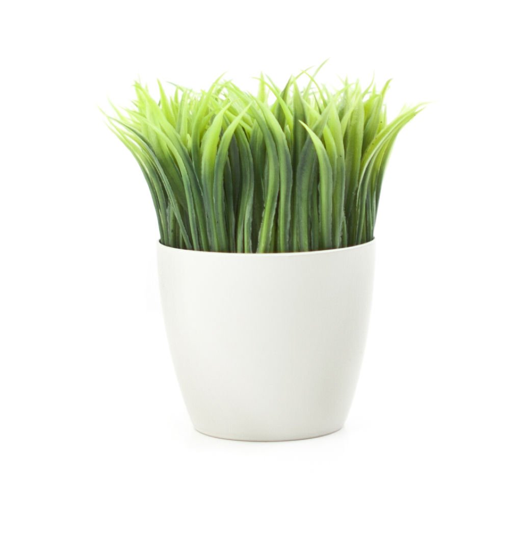 Kikkerland Potted Pen Stand (Sc24)