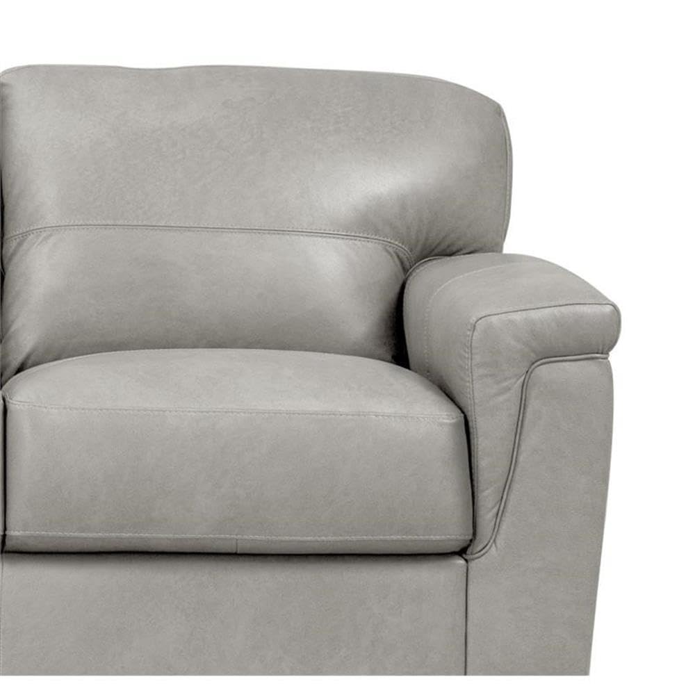 Acme Cornelia Upholstery Cushion Back Loveseat in Pearl Gray Leather