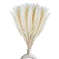 30 Pcs White Pampas Grass ,17 inch/45 cm Natural Dried Pampas Grass Branches Decor for Home Kitchen Garden Party Photographing F