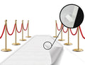 Red Carpet Floor Runner Hollywood Party Decoration Fabric 100 GSM (White, 2x15 Feet)