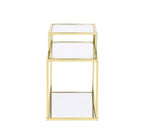 Acme Uchenna Glass Side Table with 2 Open Storage Compartments in Clear and Gold