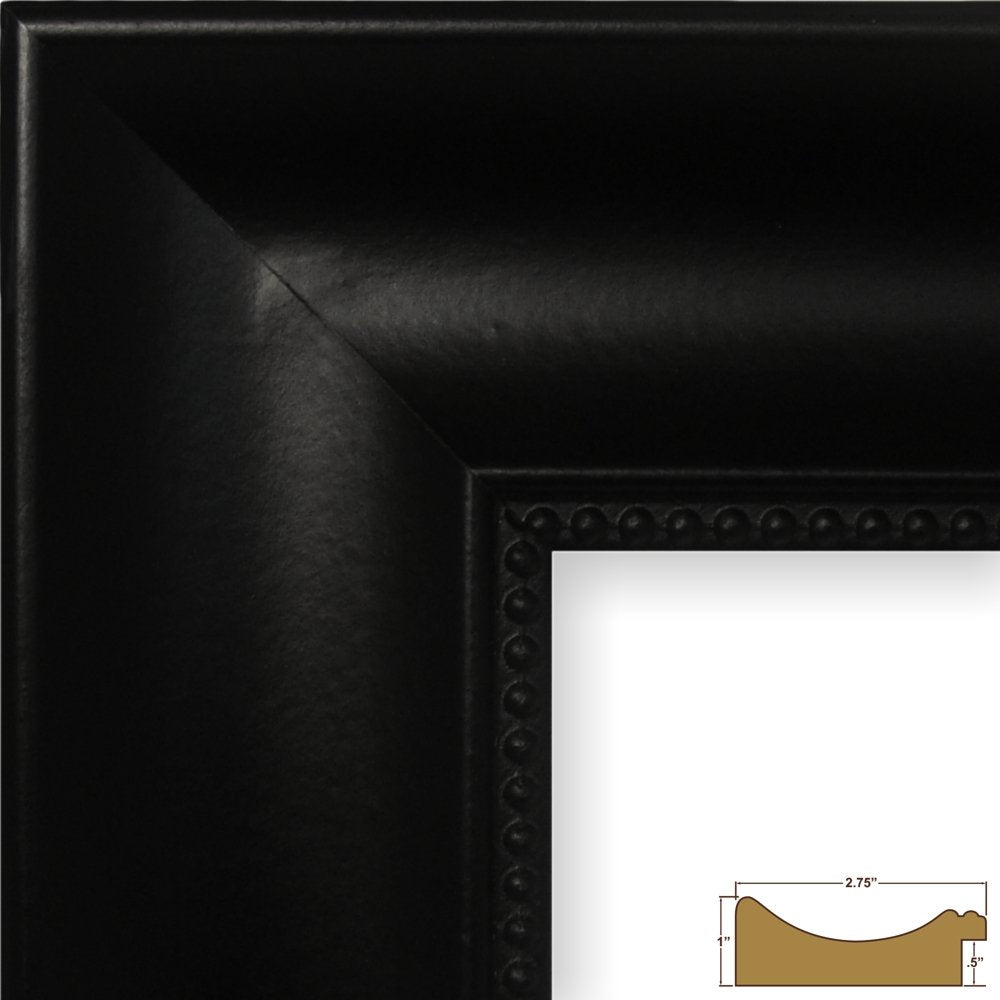 Craig Frames Lenox Ornate, Traditional Black Picture Frame, 8 By 10-Inch
