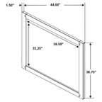 Coaster Home Furnishings Scott Living Madden Mirror, Smokey Walnut