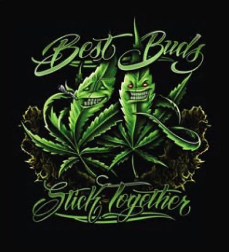 Best Buds Stick Together 79' X 95' Luxury Plush Signature Series Blanket