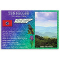Tennessee State Facts Postcard Set Of 20 Identical Postcards. Post Cards With Tn Facts And State Symbols. Made In Usa.