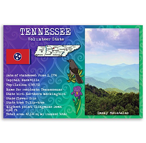 Tennessee State Facts Postcard Set Of 20 Identical Postcards. Post Cards With Tn Facts And State Symbols. Made In Usa.