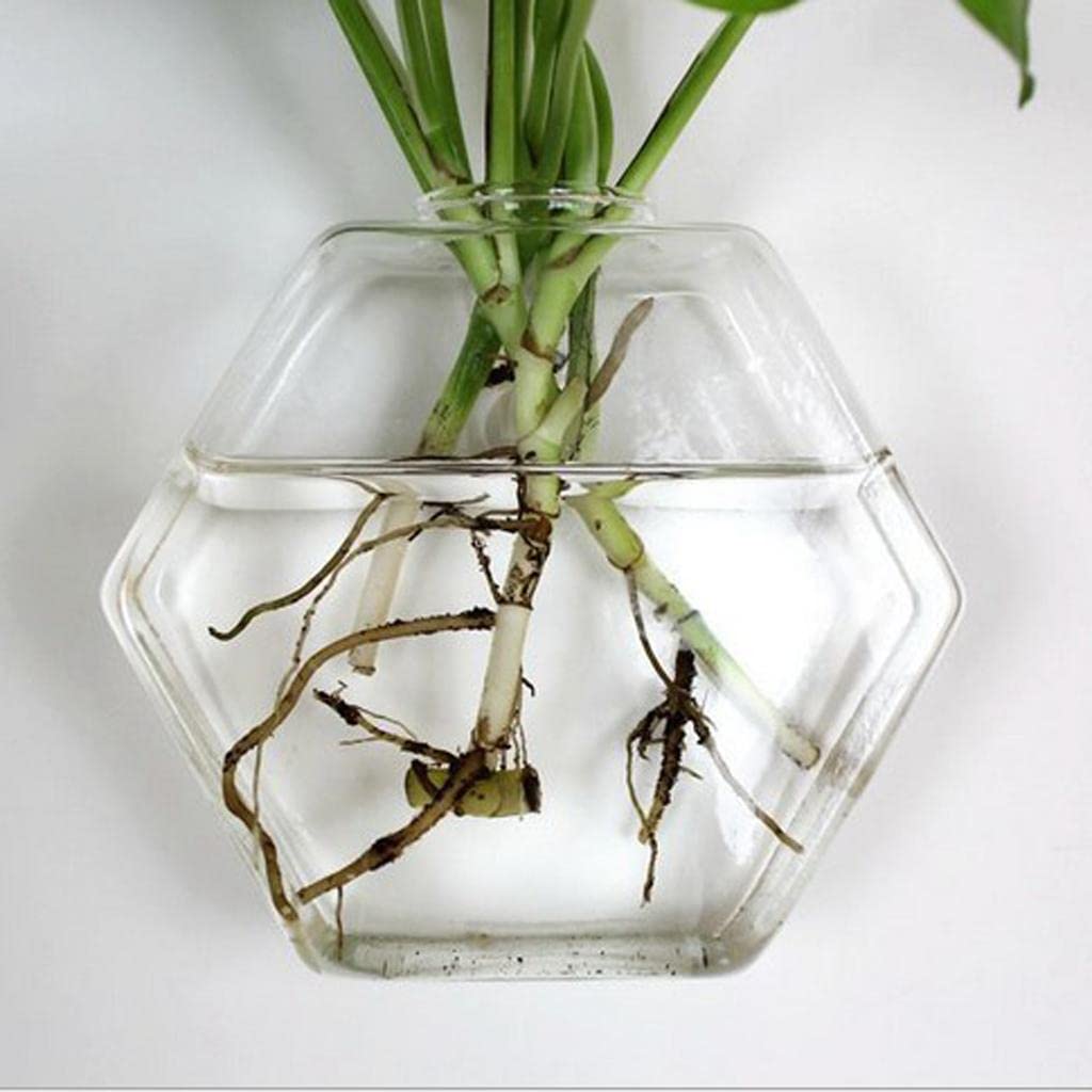 Zoomella Wall Hanging Planter Glass Hydroponic Vase Plant Pot Terrarium Hexagon 17Cm|Baskets, Pots & Window Boxes|Home & Garden