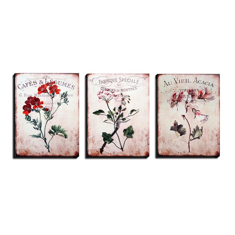 Chalk My Theme Vintage Botanical Rustic Wood Print Wooden Wall Art Set of 3 Home Decor, Living Room, Bedroom, Cafe, Room Paintin