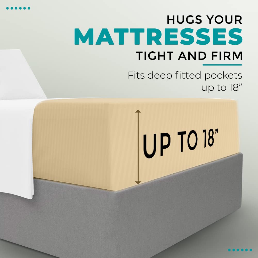 Feather & Stitch 100% Cotton 1 Piece Damask Stripe Full Fitted Sheet 500 Thread Count Semolina 18' Extra Deep Pocket Luxury Sateen Weave Stretchable Boxer Elastic Fits Mattress Perfectly