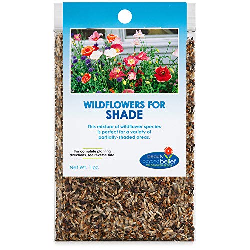 Partial Shade Wildflower Seeds -1 Oz, Open-Pollinated Wildflower Seed Mix Packet, No Fillers, Annual, Perennial Wildflower Seeds
