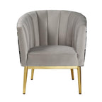 Acme Colla Velvet Upholstered Accent Chair In Gray And Gold