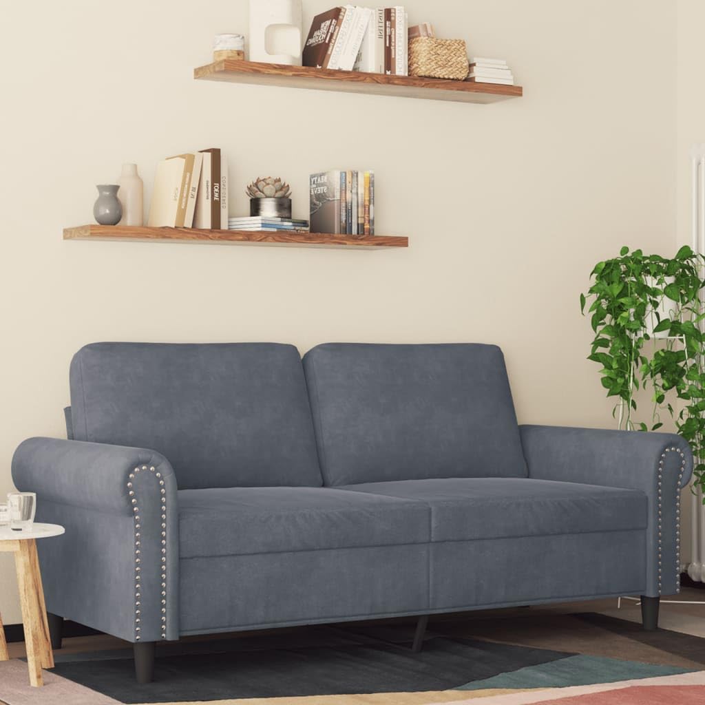 vidaXL 2-Seater Sofa, Dark Gray Velvet - Modern Design Couch with Thick Padded Seats and Armrests for Living Room or Lounge Area