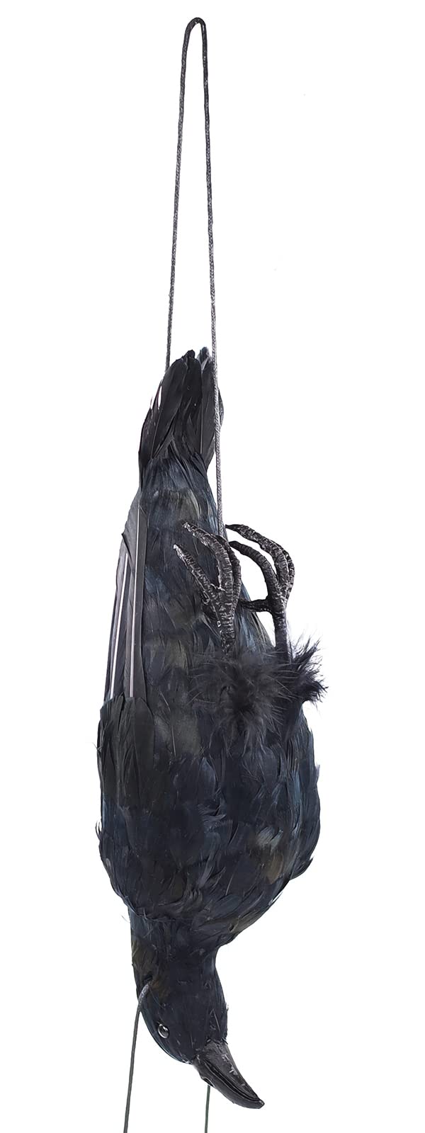 Etistta 17 Inch Realistic Hanging Dead Crows Decoy Lifesize Extra Large Black Feathered Crow