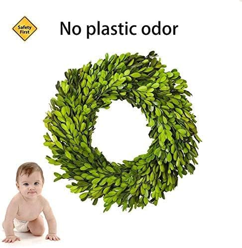 Boxwood World Boxwood Wreath 12 Inch Preserved Nature Boxwood Home Decor Stay Fresh For Years Spring Summer Fresh Green Wreath F