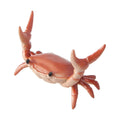 Mosbug New Japanese Creative Cute Crab Pen Holder Weightlifting Crabs Penholder Bracket Storage Rack Gift Stationery