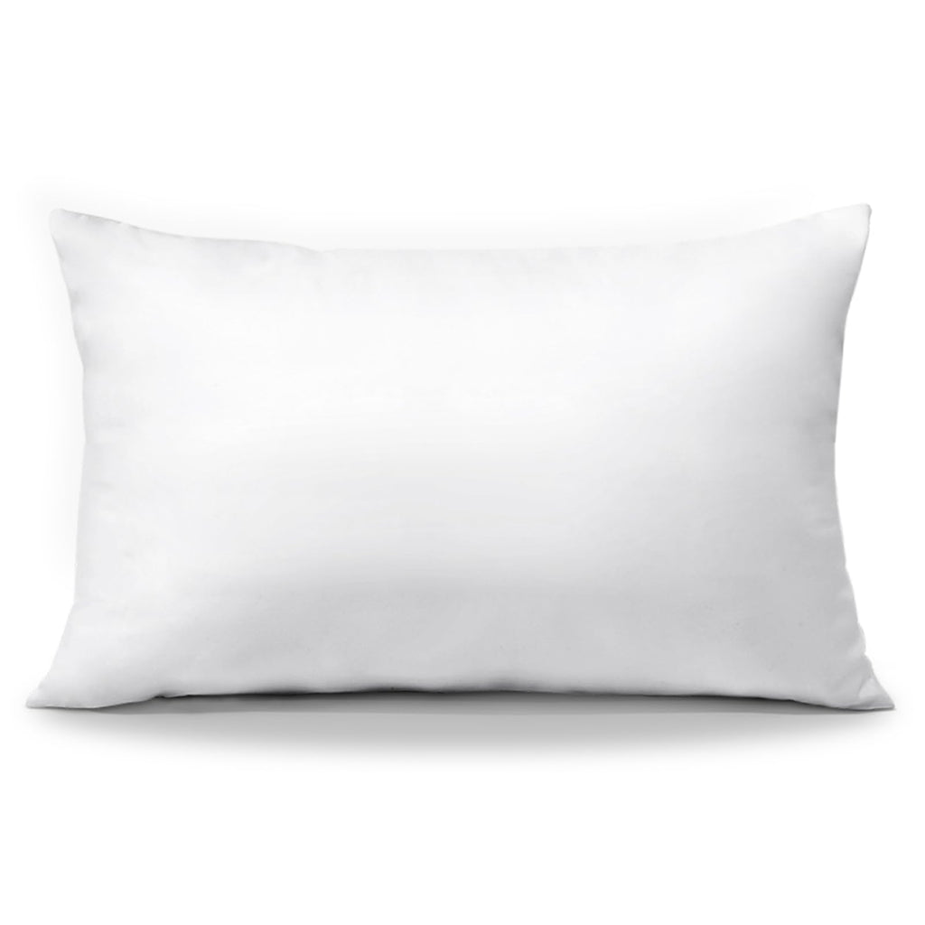 Otostar Pack Of 2 Throw Pillow Inserts, 24 X 24 Square Cushion Inner Soft Fluffy Plump Stuffer Cushion Pads White Decorative Pillow Inserts