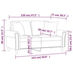 vidaXL Velvet 2-Seater Sofa with Pillows and Cushions in Dark Gray - Cozy, Modern Design for Living Room, Lounge, or Home Office
