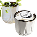 The Growing Candle, from Flame to Flower, Juniper Citronella Scented, Non-Toxic, 100% Soy Wax, Indoor Wildflower Garden, Aromath
