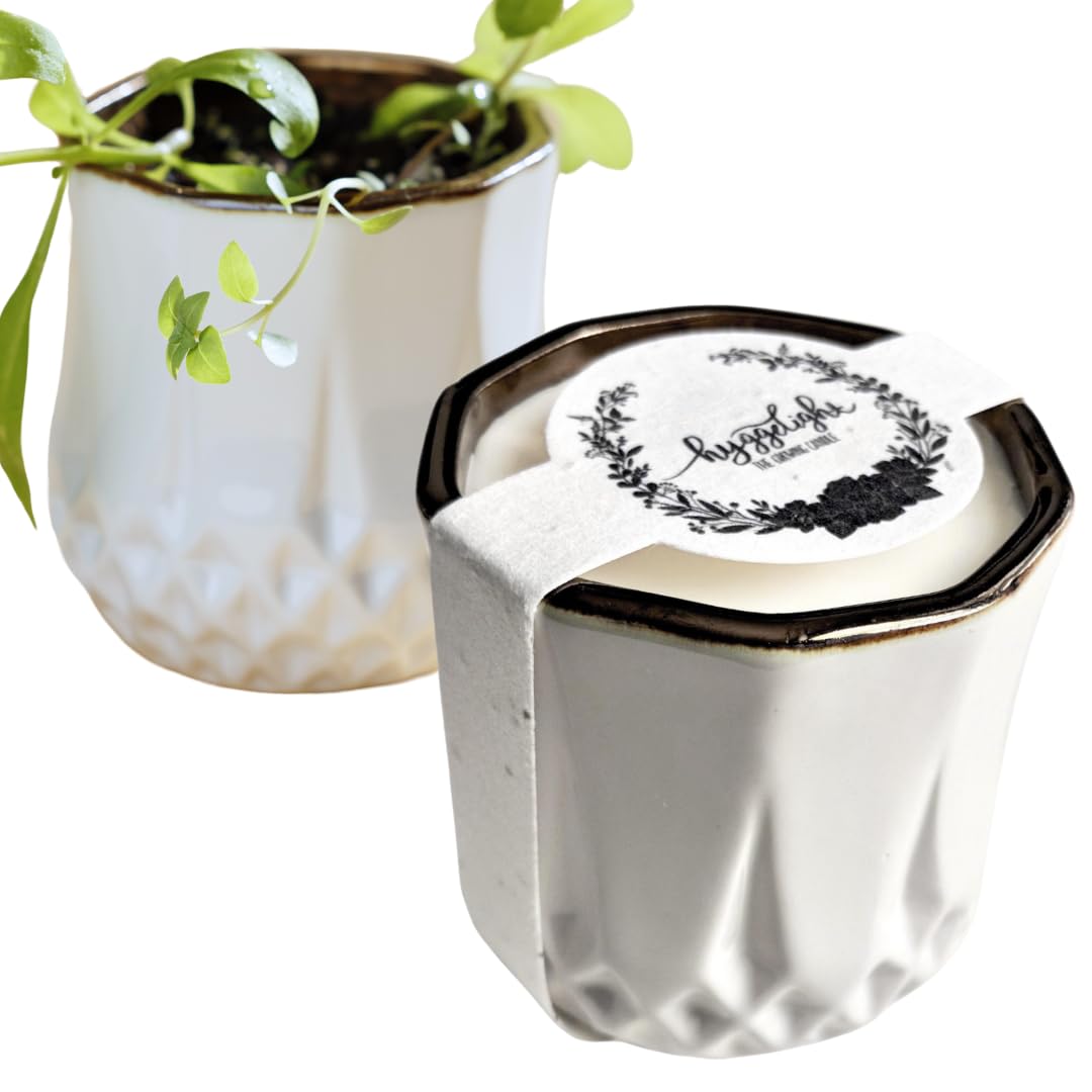 The Growing Candle, from Flame to Flower, Juniper Citronella Scented, Non-Toxic, 100% Soy Wax, Indoor Wildflower Garden, Aromath