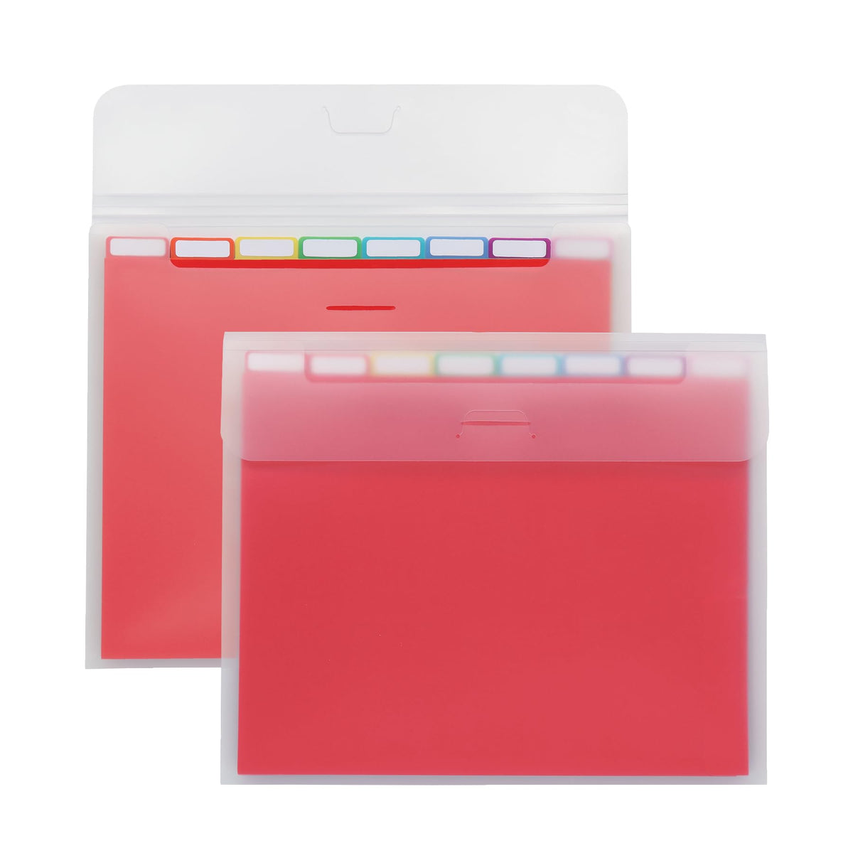 Oxford Portable File Organizer, 8 Plastic File Folders, Clear Case, Storage For Home And Office, Document Organizer, Holds 8-Tab